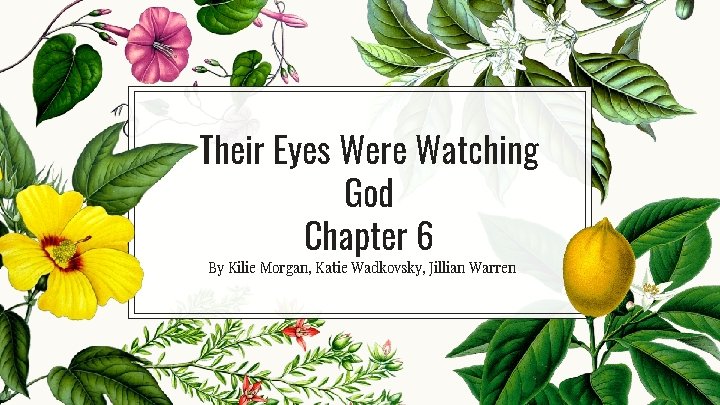 Their Eyes Were Watching God Chapter 6 By Kilie Morgan, Katie Wadkovsky, Jillian Warren