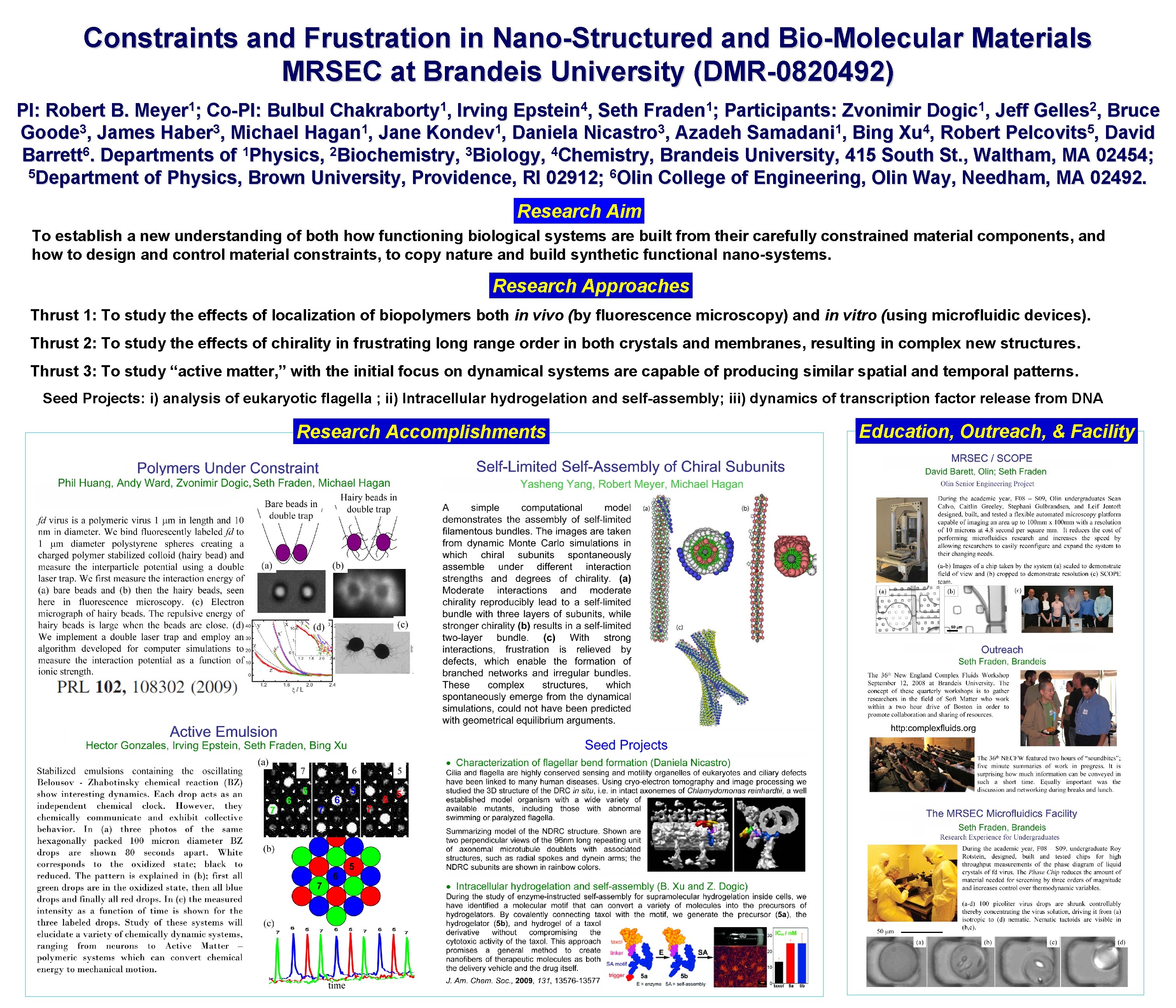 Constraints and Frustration in Nano-Structured and Bio-Molecular Materials MRSEC at Brandeis University (DMR-0820492) PI: