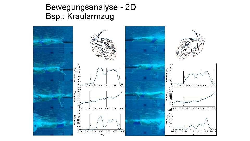 Bewegungsanalyse - 2 D Bsp. : Kraularmzug 