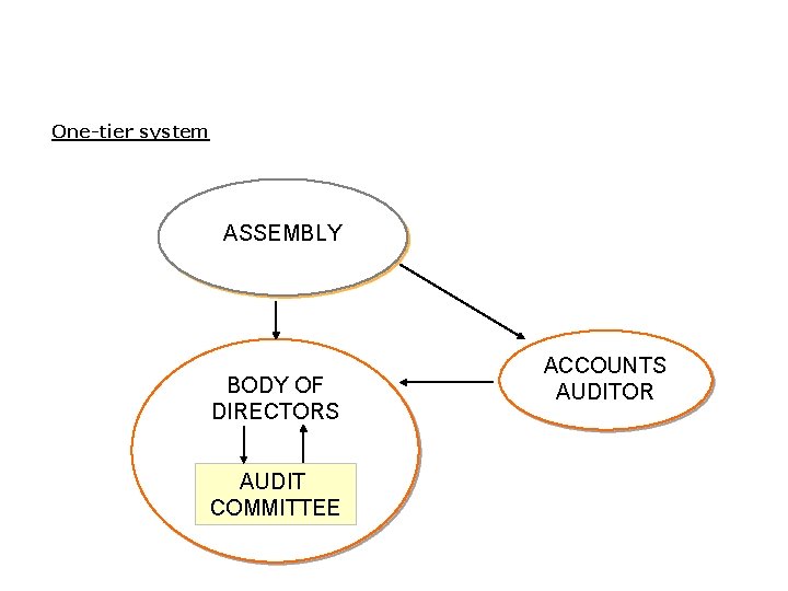 One-tier system ASSEMBLY BODY OF DIRECTORS AUDIT COMMITTEE ACCOUNTS AUDITOR 