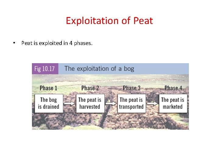 Exploitation of Peat • Peat is exploited in 4 phases. 