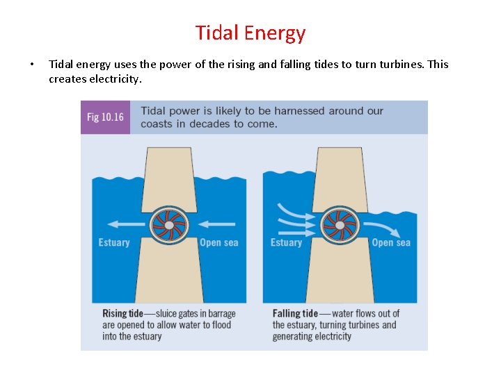 Tidal Energy • Tidal energy uses the power of the rising and falling tides