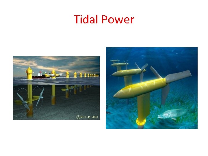 Tidal Power 