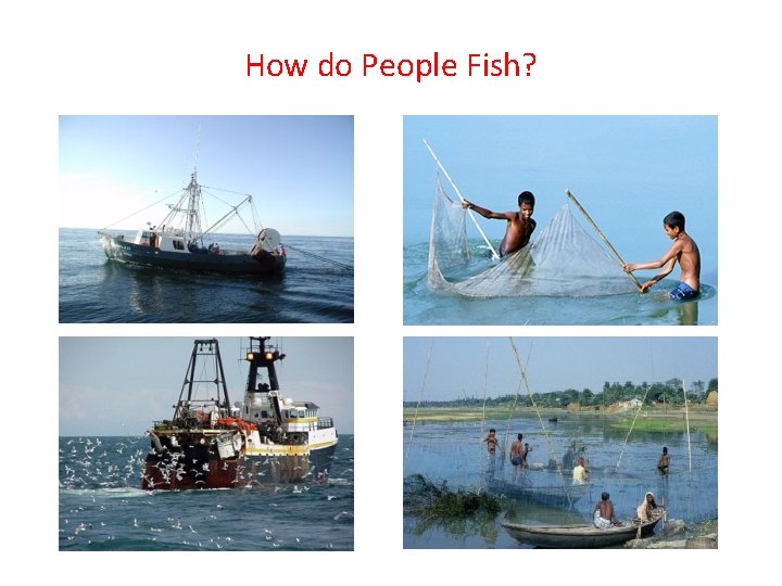 How do People Fish? 