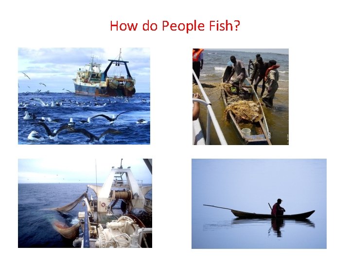 How do People Fish? 