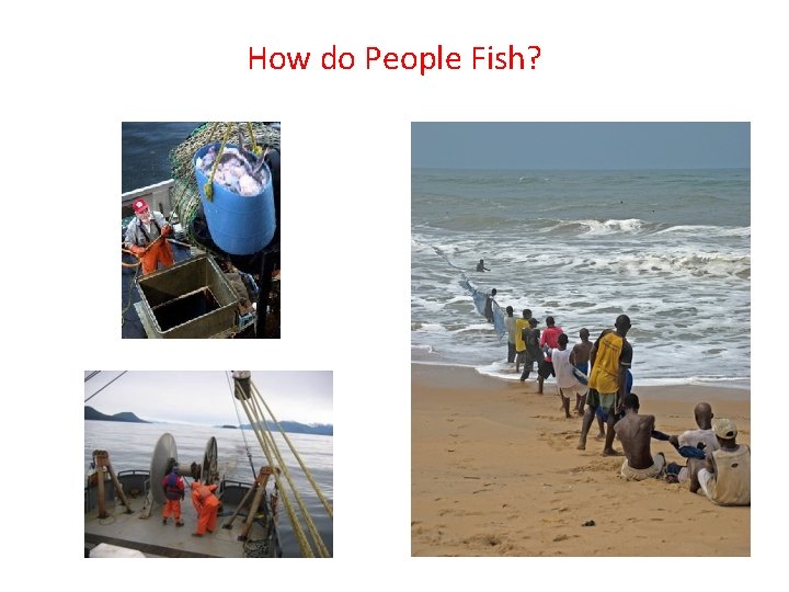 How do People Fish? 