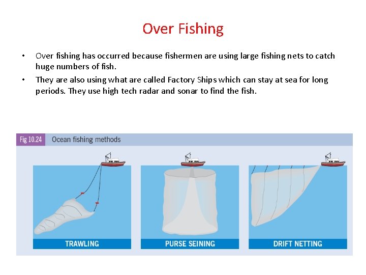 Over Fishing • • Over fishing has occurred because fishermen are using large fishing