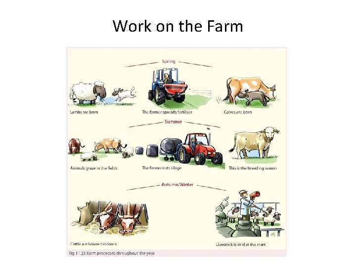 Work on the Farm 