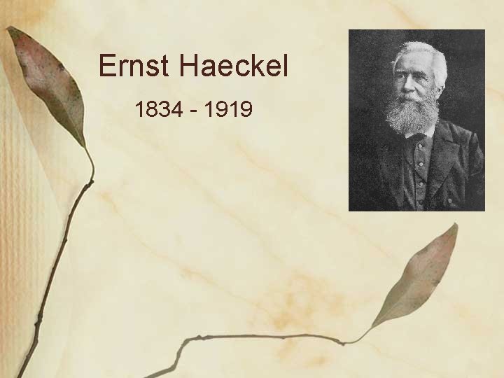 Ernst Haeckel 1834 - 1919 