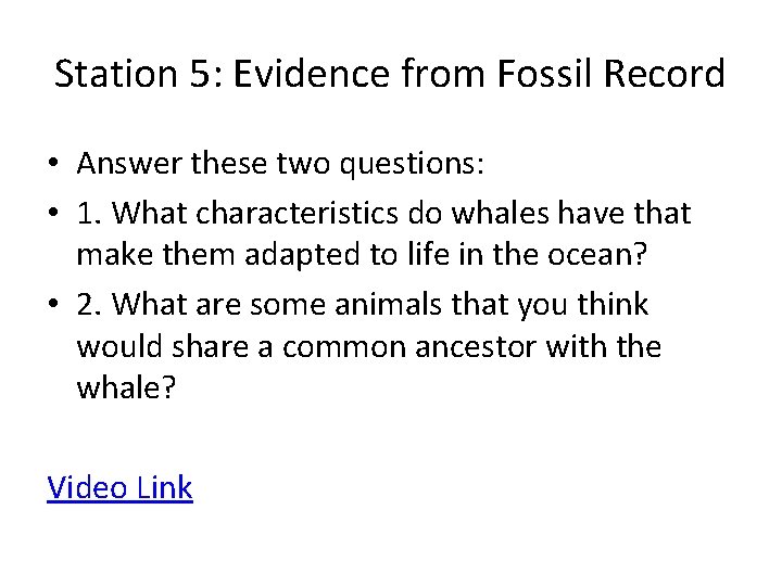 Station 5: Evidence from Fossil Record • Answer these two questions: • 1. What