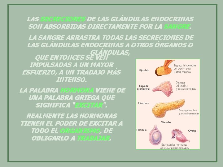 LAS SECRECIONES DE LAS GLÁNDULAS ENDOCRINAS SON ABSORBIDAS DIRECTAMENTE POR LA SANGRE ARRASTRA TODAS