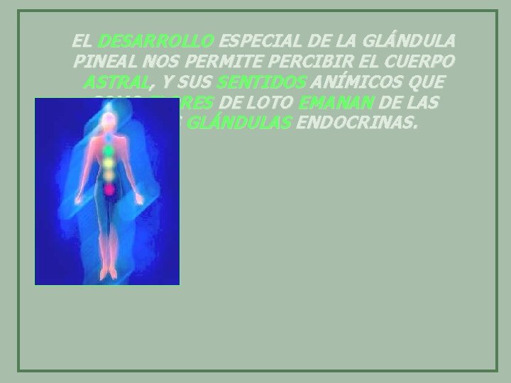 EL DESARROLLO ESPECIAL DE LA GLÁNDULA PINEAL NOS PERMITE PERCIBIR EL CUERPO ASTRAL, Y
