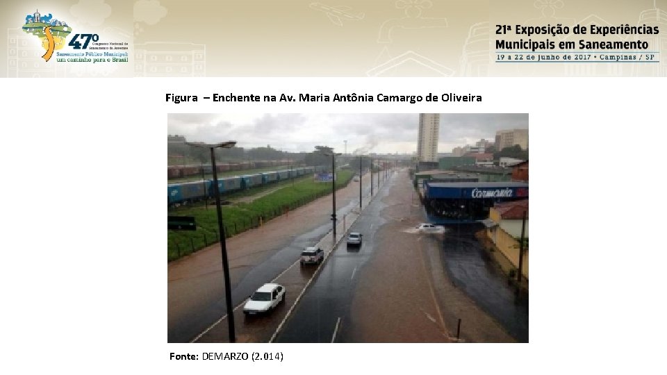 Figura – Enchente na Av. Maria Antônia Camargo de Oliveira Fonte: DEMARZO (2. 014)