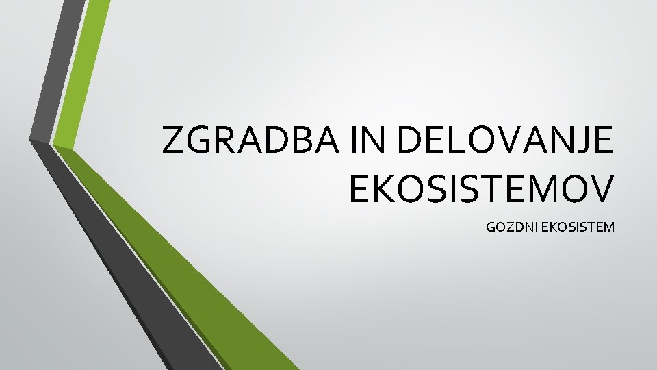 ZGRADBA IN DELOVANJE EKOSISTEMOV GOZDNI EKOSISTEM 