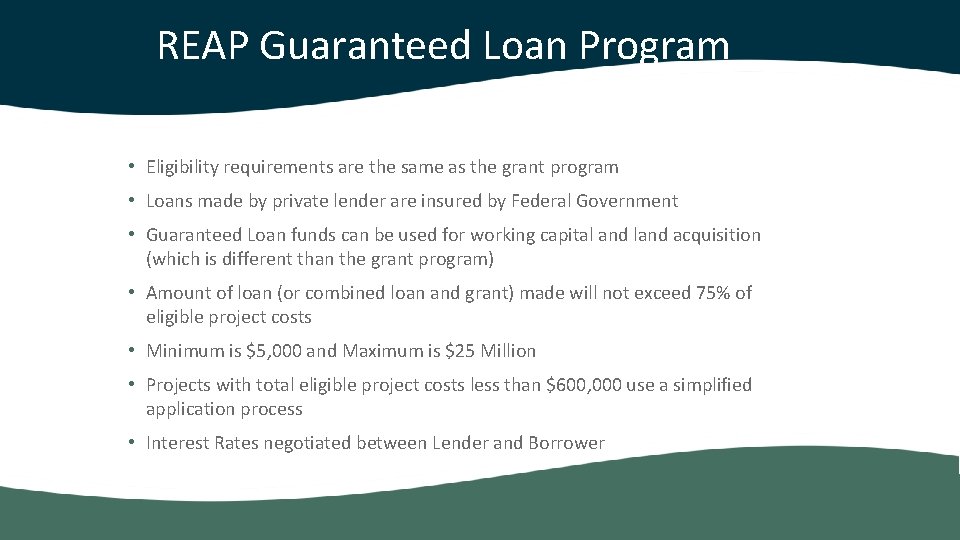 REAP Guaranteed Loan Program • Eligibility requirements are the same as the grant program