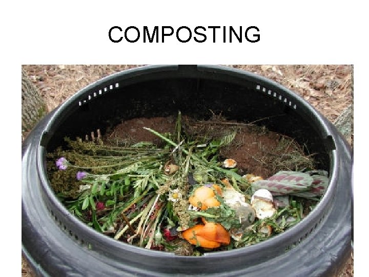 COMPOSTING 