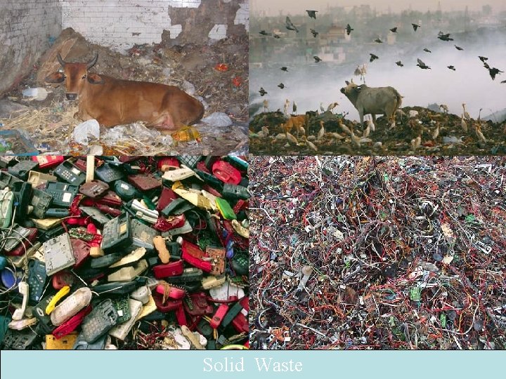 Solid Waste 