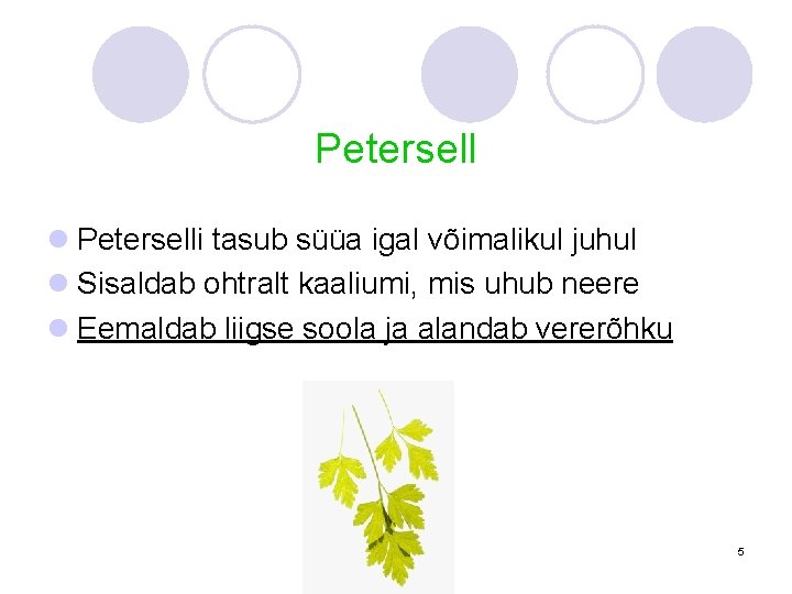 Petersell l Peterselli tasub süüa igal võimalikul juhul l Sisaldab ohtralt kaaliumi, mis uhub