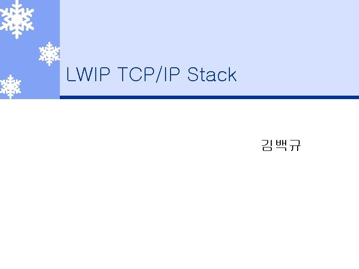 LWIP TCP/IP Stack 김백규 