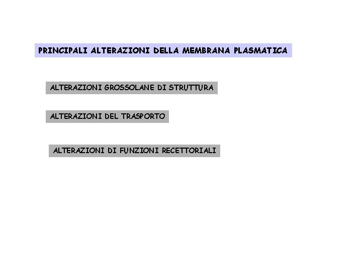 PRINCIPALI ALTERAZIONI DELLA MEMBRANA PLASMATICA ALTERAZIONI GROSSOLANE DI STRUTTURA ALTERAZIONI DEL TRASPORTO ALTERAZIONI DI