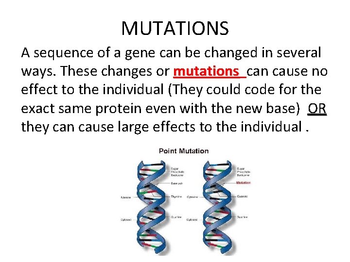 MUTATIONS A sequence of a gene can be changed in several ways. These changes