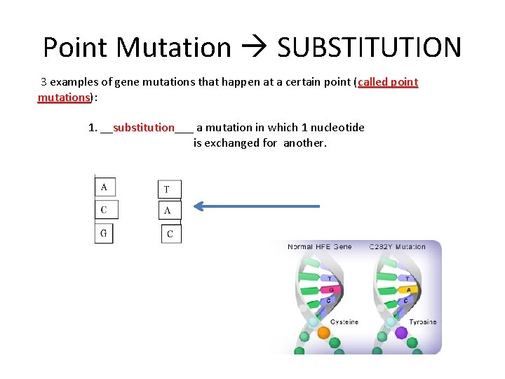 Point Mutation SUBSTITUTION 3 examples of gene mutations that happen at a certain point