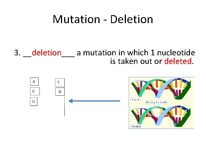 Mutation - Deletion 3. __deletion___ a mutation in which 1 nucleotide deletion is taken