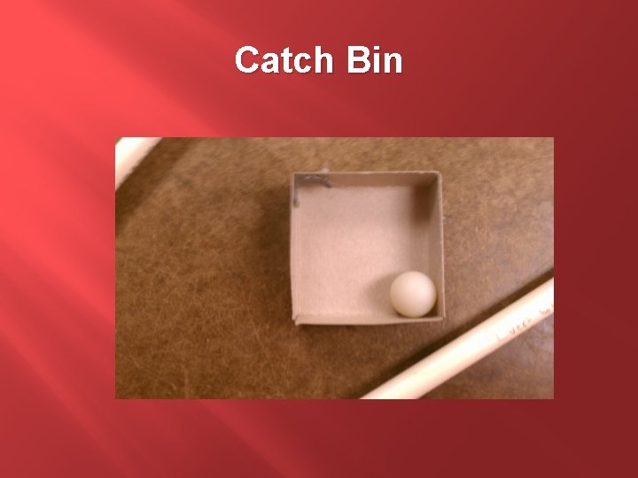 Catch Bin 