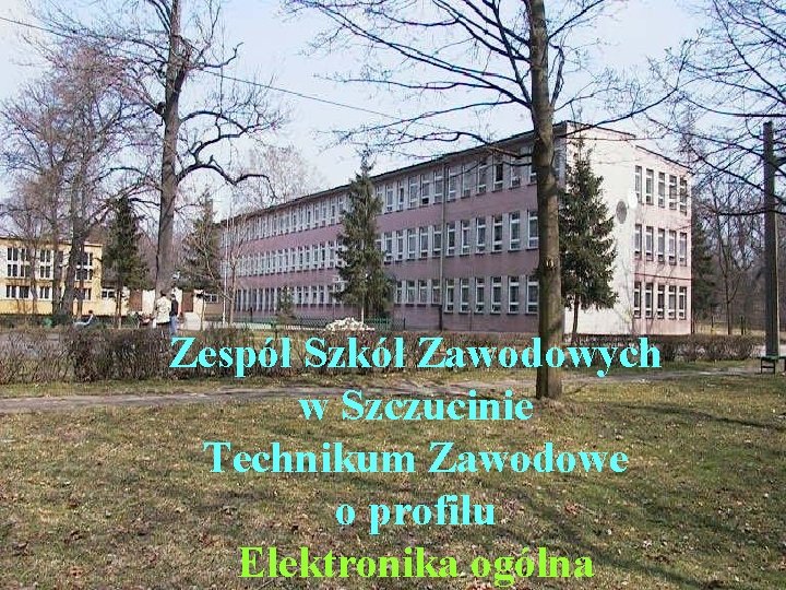 Zespół Szkół Zawodowych w Szczucinie Technikum Zawodowe o profilu Elektronika ogólna 