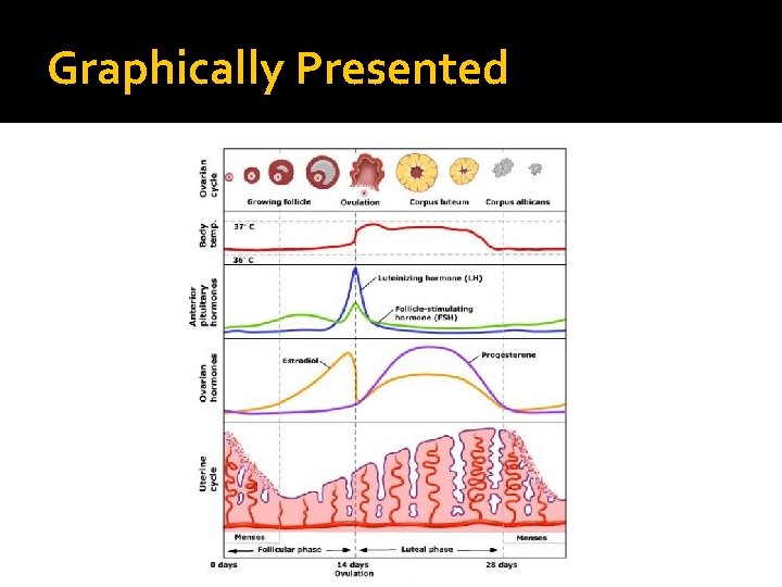 Graphically Presented 