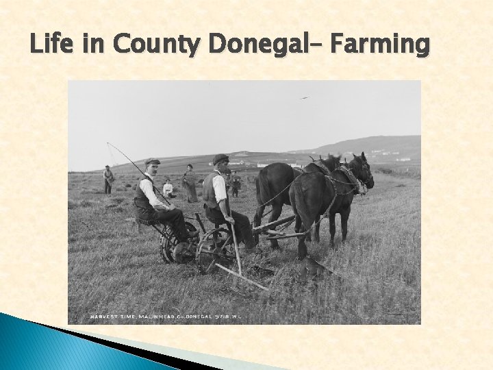 Life in County Donegal– Farming 