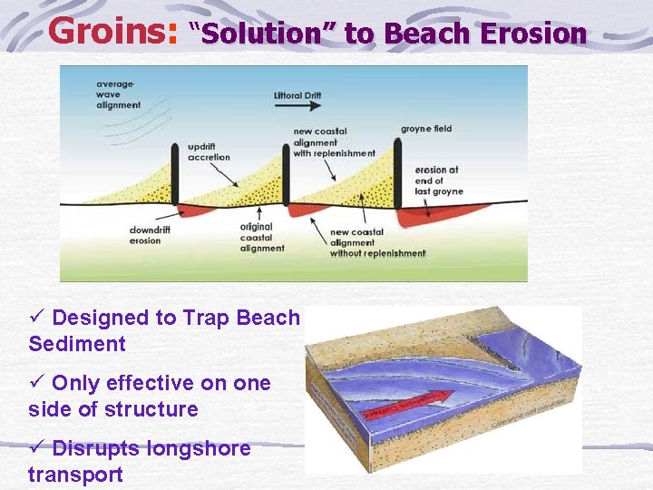 Groins: “Solution” to Beach Erosion ü Designed to Trap Beach Sediment ü Only effective