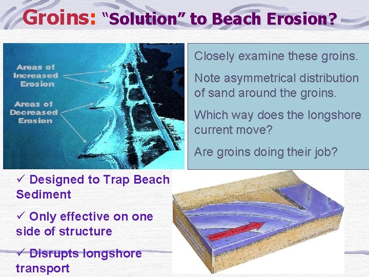 Groins: “Solution” to Beach Erosion? Closely examine these groins. Note asymmetrical distribution of sand
