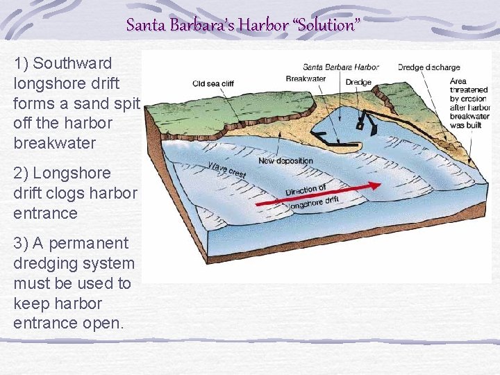 Santa Barbara’s Harbor “Solution” 1) Southward longshore drift forms a sand spit off the