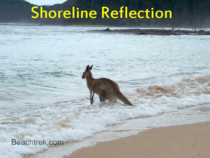 Shoreline Reflection 