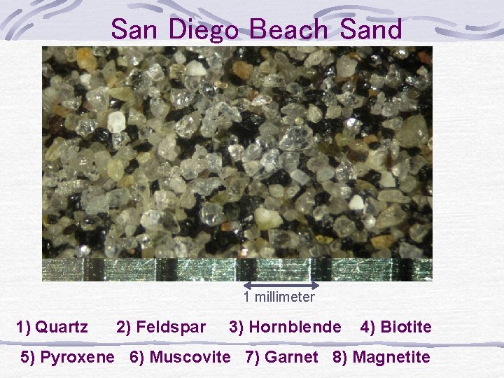 San Diego Beach Sand 1 millimeter 1) Quartz 2) Feldspar 3) Hornblende 4) Biotite