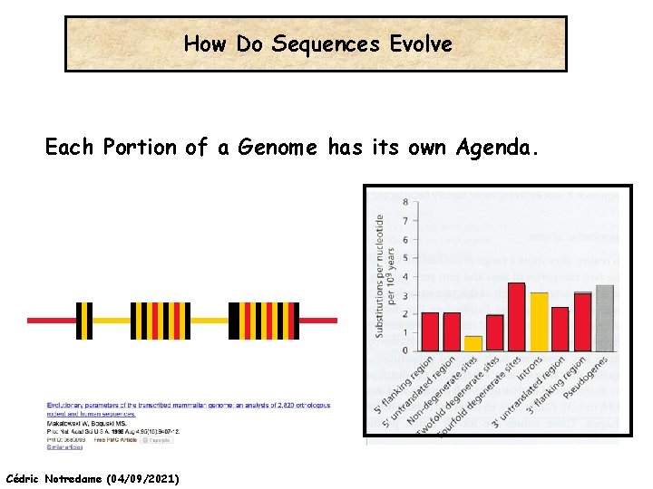 How Do Sequences Evolve Each Portion of a Genome has its own Agenda. Cédric