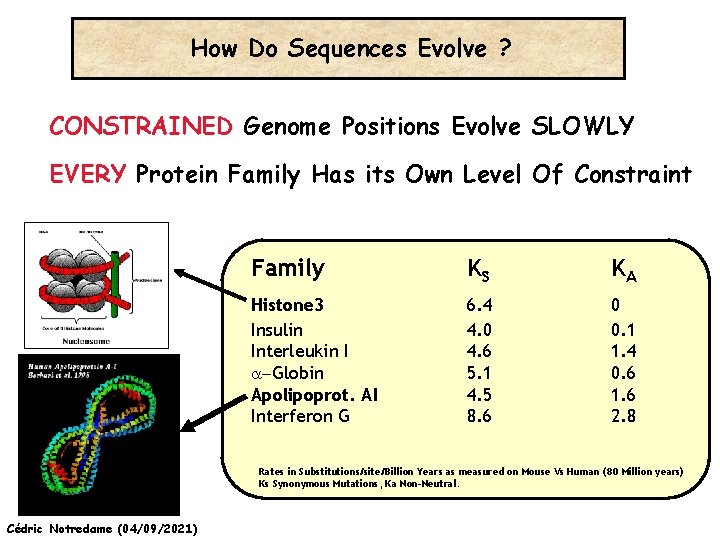 How Do Sequences Evolve ? CONSTRAINED Genome Positions Evolve SLOWLY EVERY Protein Family Has