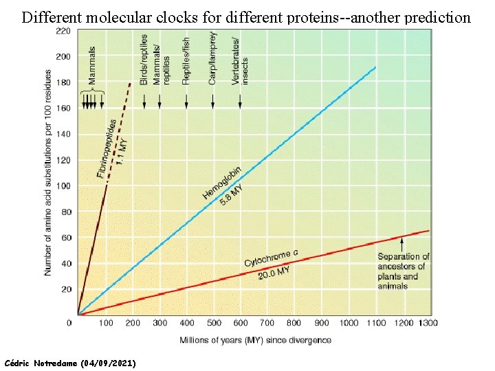 Different molecular clocks for different proteins--another prediction Cédric Notredame (04/09/2021) 