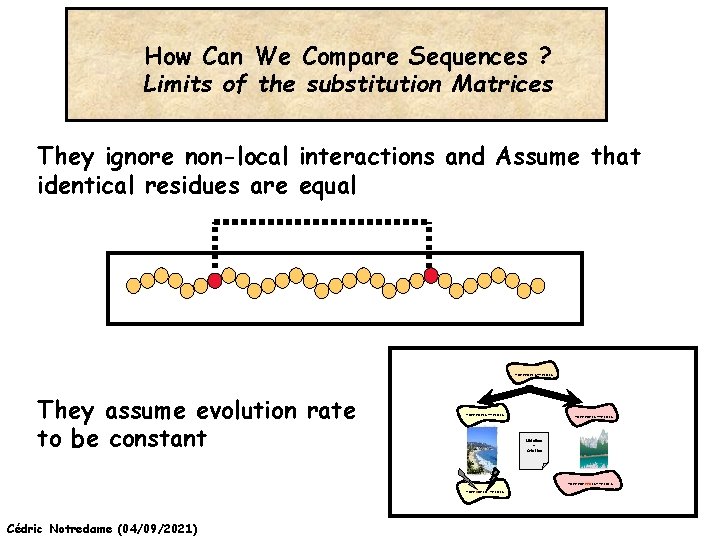 How Can We Compare Sequences ? Limits of the substitution Matrices They ignore non-local