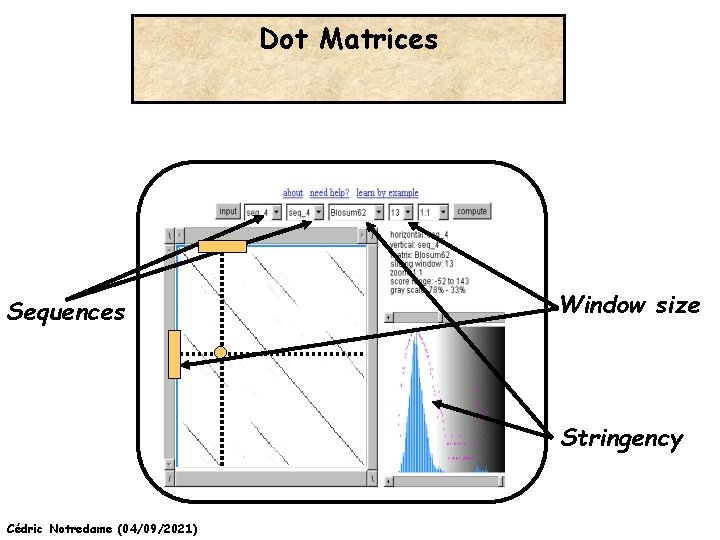 Dot Matrices Sequences Window size Stringency Cédric Notredame (04/09/2021) 