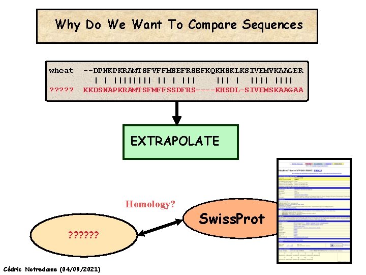 Why Do We Want To Compare Sequences wheat ? ? ? --DPNKPKRAMTSFVFFMSEFRSEFKQKHSKLKSIVEMVKAAGER | |