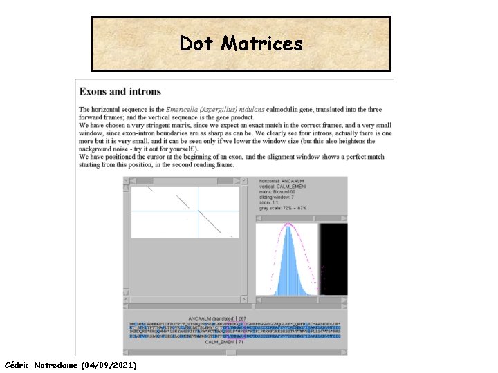 Dot Matrices Cédric Notredame (04/09/2021) 