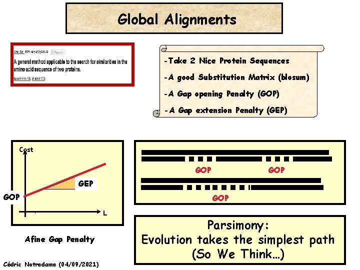 Global Alignments -Take 2 Nice Protein Sequences -A good Substitution Matrix (blosum) -A Gap