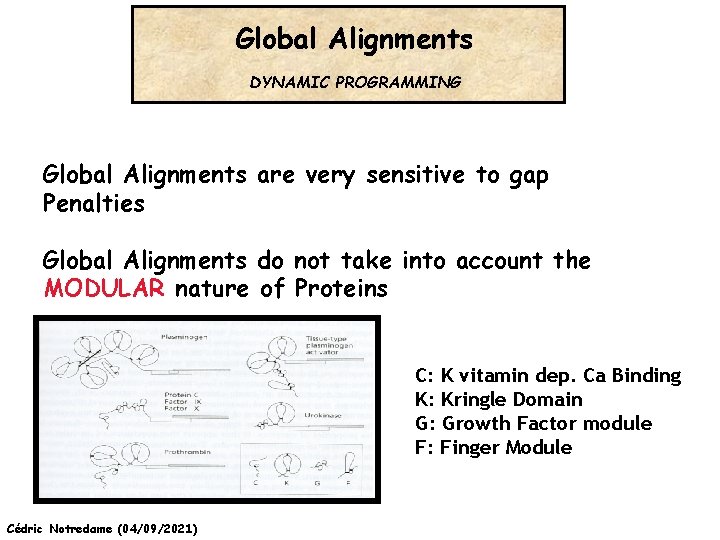 Global Alignments DYNAMIC PROGRAMMING Global Alignments are very sensitive to gap Penalties Global Alignments