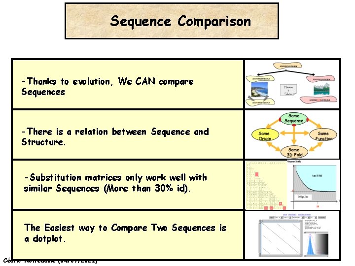 Sequence Comparison -Thanks to evolution, We CAN compare Sequences -There is a relation between