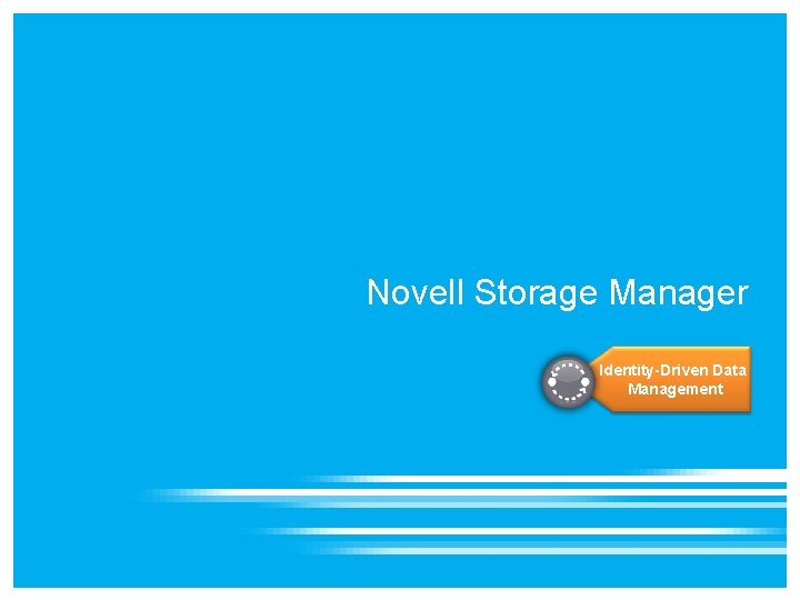 Novell Storage Manager Identity-Driven Data Management Novell Storage Manager Identity-Driven Data Management