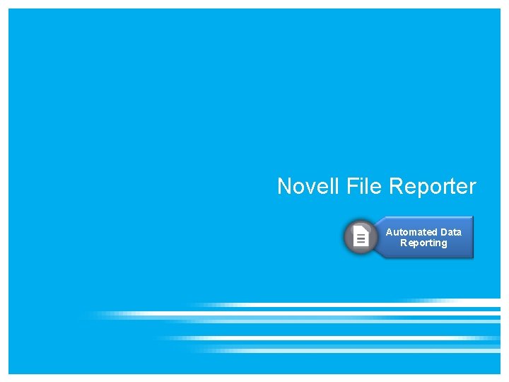 Novell File Reporter Automated Data Reporting Novell File Reporter Automated Data Reporting