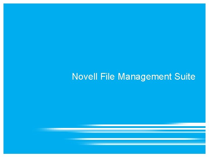 Novell File Management Suite Novell File Management Suite