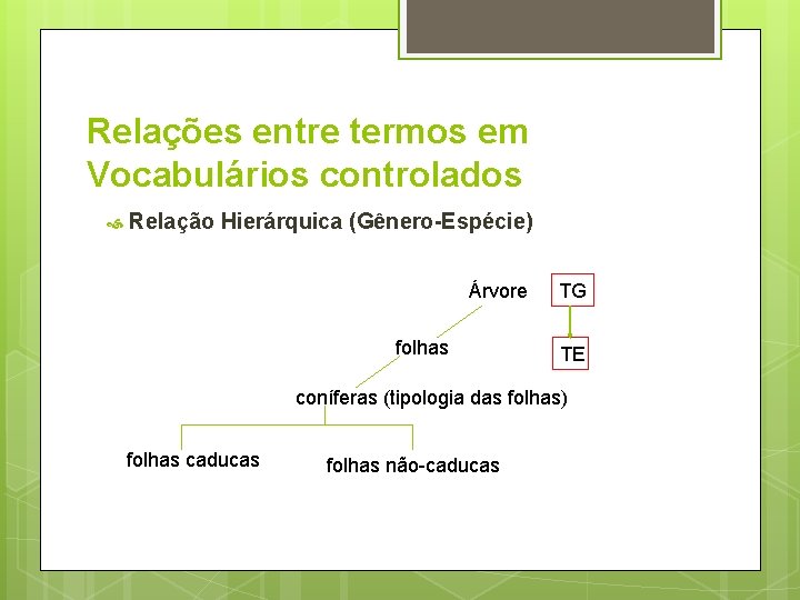 Relações entre termos em Vocabulários controlados Relação Hierárquica (Gênero-Espécie) Árvore folhas TG TE coníferas